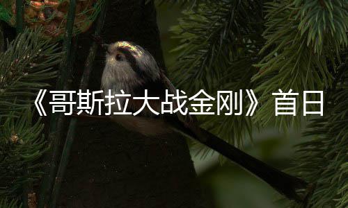 大战亿 日票房达哥金刚纪录斯拉首刷新
