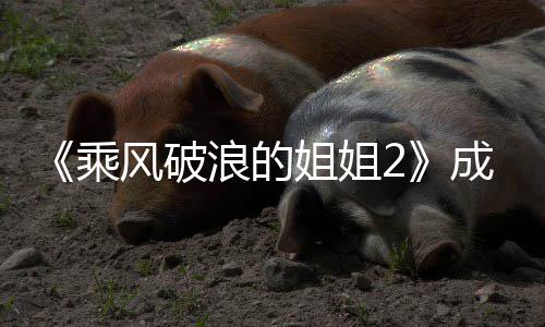 都有名单名浪的浪团人员排乘成团成风破分别姐姐姐2谁