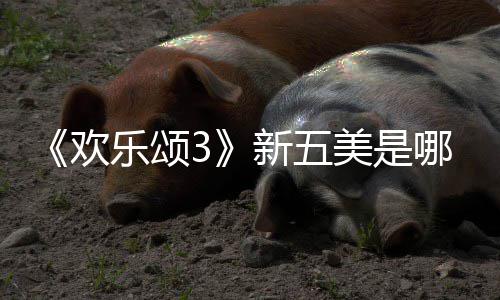 哪几美是乐颂新五情介容剧阵个人欢欢乐颂3绍