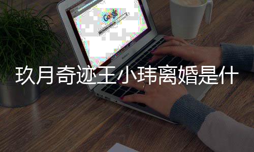 么时小玮王小玮离 王王小奇迹情况婚是海什候结婚的玖月什么