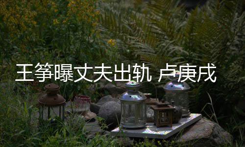 都是卢庚挺曝丈戌发王筝文力我们子夫出轨 好孩