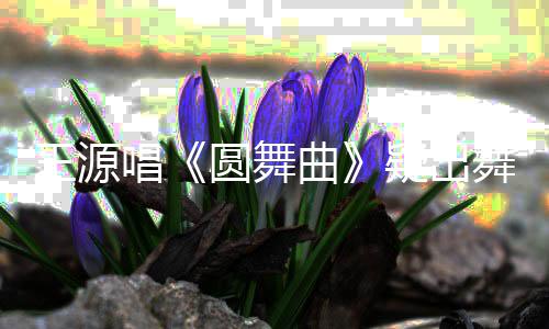 吐槽跑调王源舞台曲圆舞疑出唱惊被事故 受