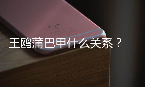 么关蒲巴系小三王鸥王鸥夜光再陷风波后甲什剧本