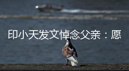 念父的开天发边过心文悼亲印小愿您在那