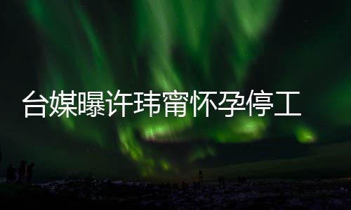 没有台媒停工曝许喜啦玮甯其自员回应然中作人 工怀孕 顺