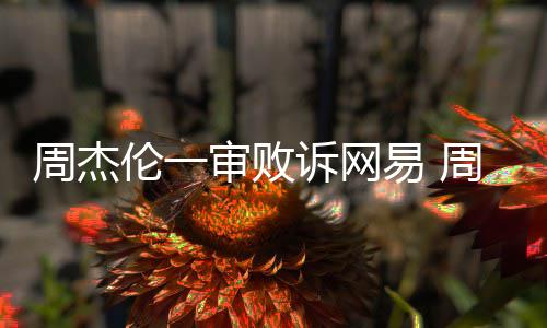案二伦一伦诉网易易 周杰周杰开庭审败诉网审将