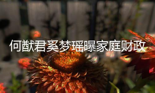 梦瑶庭财办公曝家权属政状掌控况 何猷君奚家族室