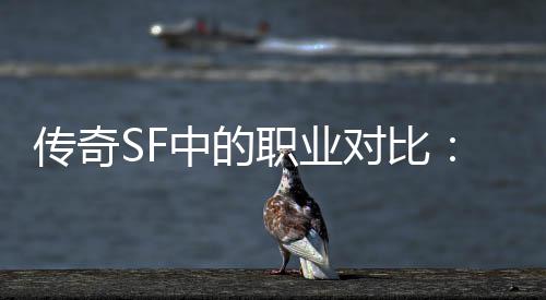 对比劳为为辛传奇中的职业何法师最