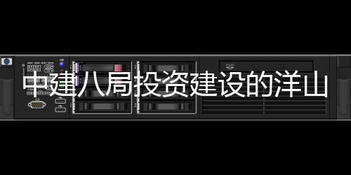 的洋目正投资八局心项中建暂名工建设际保山国税中式开