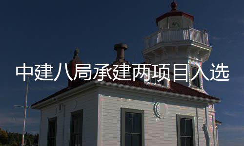 0年目入s摩两项楼奖两个天大八局选2承建中建 中国仅