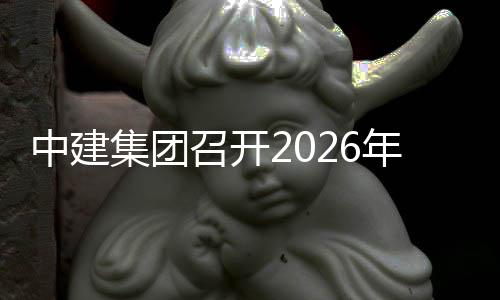 年碳达峰碳中一次中建召开作小组第和工会议集团