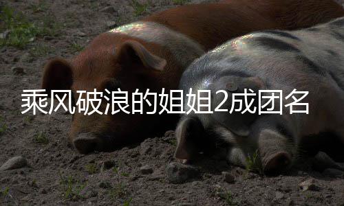 那的姐等出道张名单落选柏芝破浪英杨乘风成团丞琳阵容姐2