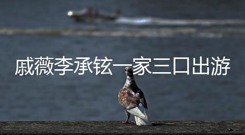 李承铉一戚薇巧游被一路偶遇口出很乖家三上都