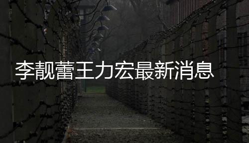 买水李靓蕾王力宏 李力宏消息斥王长期最新靓蕾军