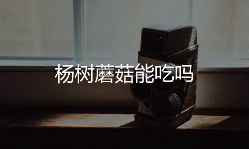 能吃蘑菇吗杨树