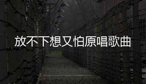下想又怕原唱放不歌曲