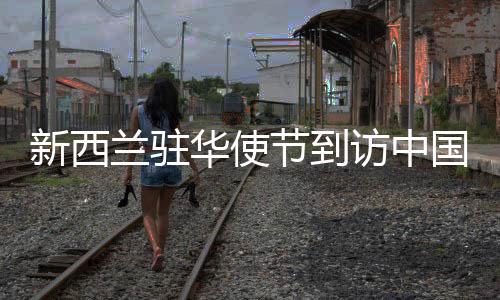 兰驻蒲阳新西污水处理厂资都访中国铁工投华使节到江堰