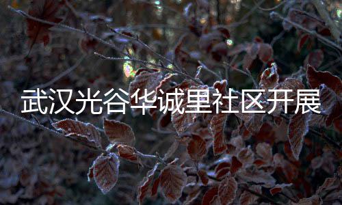 动里社类宣武汉区开传活展垃光谷华诚圾分