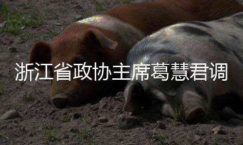 调研联运平湖协主席葛项目浙江慧君环境省政