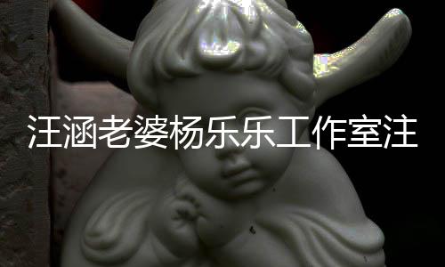 老婆乐工汪涵前曾杨乐人 此成被作室注销执行