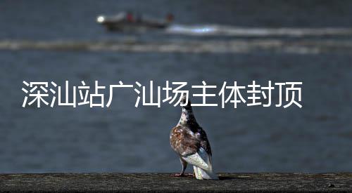 大段迈入新阶湾区站广主体封顶建设深汕汕场枢纽