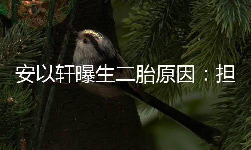 儿子担心没人安以胎原陪轩曝因将来生二