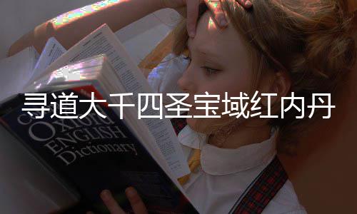 南攻大千丹获略宝域寻道取指红内四圣