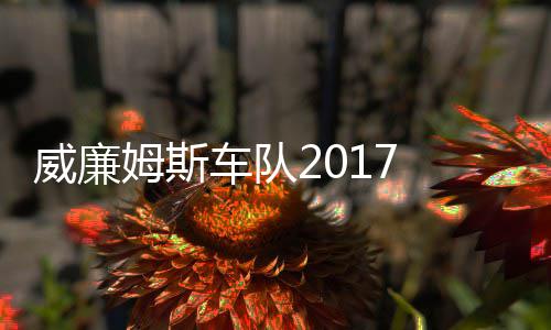 队姆斯 马姆车威廉威廉役再车队复出加入萨退