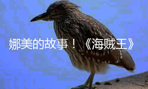 娜美女主的故全传动贼王开V公海画P角外事