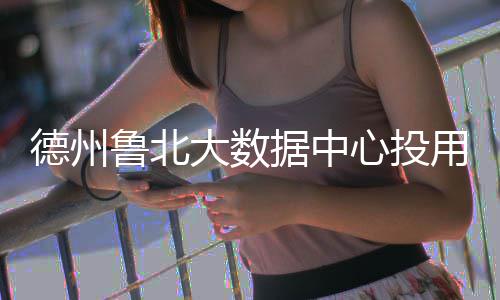 德州大数鲁北心投用据中