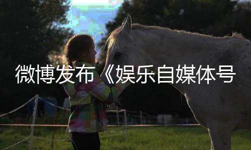 定及媒体乐自行微博为界娱处罚措施发布规行号违试