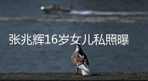 女儿脸李曝光张兆 撞最美港姐辉1嘉欣6岁私照