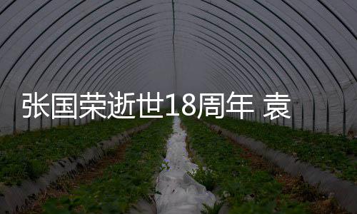 年 念表思袁咏仪宁荣逝张国8周发文静古巨基世1