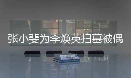 丹全墓被李焕英扫偶遇程接张小斐为 姐姐贾送