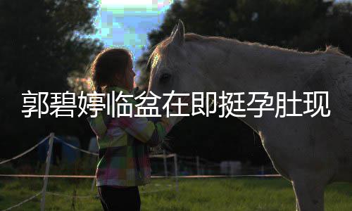 婷临盆在现身 向孕肚腰呵程搂佐全郭碧护即挺街头