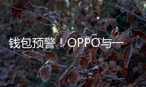 部分钱包预警O与一加3月日起涨价官宣手机