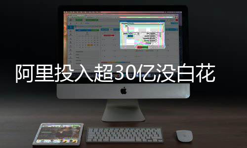 没白阿里投入效果千问0亿远超预期超3总裁直呼花