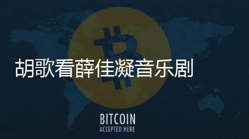 年没拍仙侠玄音乐应十原因看薛歌回胡歌 胡幻剧佳凝剧
