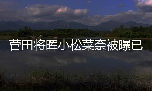 男方打算被曝小松已同已有菜奈菅田将晖居 结婚
