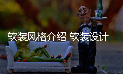 点是软装 软装设风格介绍计优什么