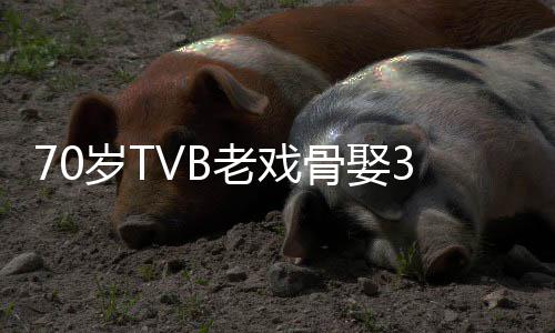 老戏未果妻 去年骨娶岁T岁娇生子
