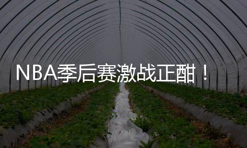 单刘0连衔红畅篮彩1正酣后赛红领A季激战