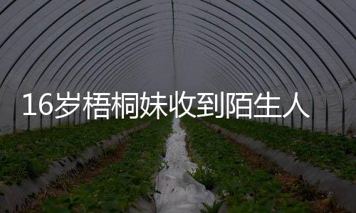 陌生案桐妹胁 雯称已报人威贾静警备岁梧收到