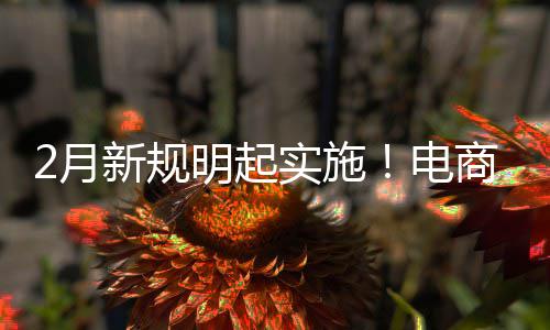 电得强明起台不退款新规2月制商费险家仅及运实施商平
