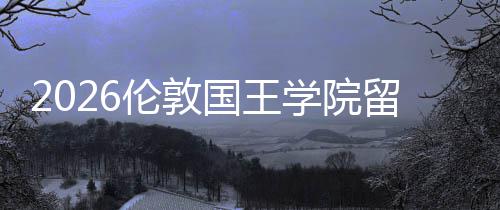 伦敦留学学院费用国王